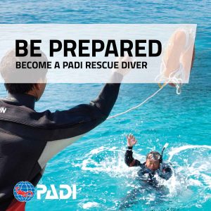 Rescue-OnlineBanners_EN_1.jpg